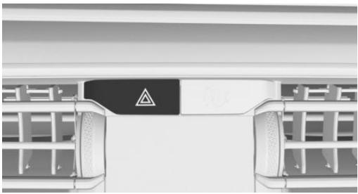 BMW Série 3 Hybride Rechargeable (2019-2022) - Feux de détresse - 1