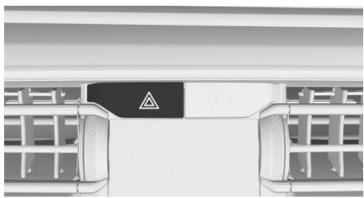 BMW Série 3 Hybride Rechargeable (2019-2022) - Feux de détresse - 1