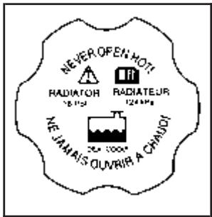 CHEVROLET Impala (2006) - Procédure d'ajout de liquide de refroidissement au système de refroidissement (moteur V8 de 5,3 L) - 1