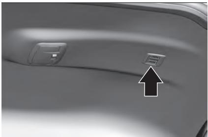 JEEP Avenger (2022) - ANTENNE REQUIN - 1