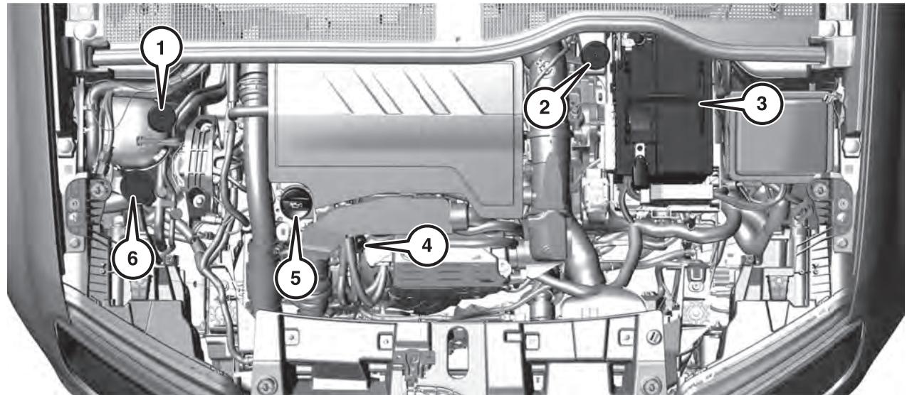 JEEP Avenger (2022) - COMPARTIMENT MOTEUR - 1