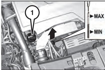 JEEP Avenger (2022) - VÉRIFICATION DES NIVEAUX - 2