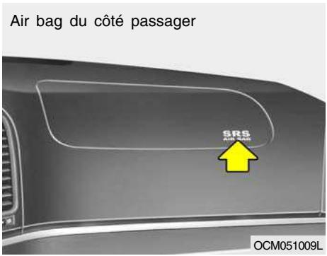 HYUNDAI Santa Fe 2 (2006-2009) - Éléments SRS et leur fonction - 4