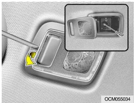 HYUNDAI Santa Fe 2 (2006-2009) - Lampe interieur - 4