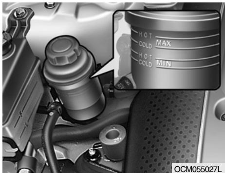HYUNDAI Santa Fe 2 (2006-2009) - NIVEAU DU LIQUIDE DE LA SERVODIRECTION - 1