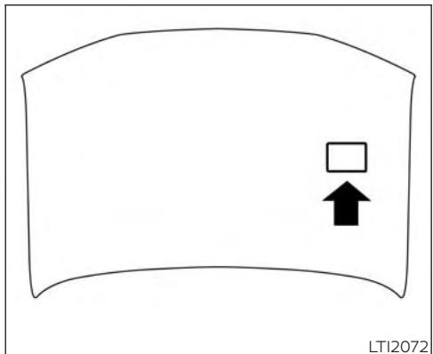NISSAN Murano (2018) - IDENTIFICATION DU VÉHICULE - 5