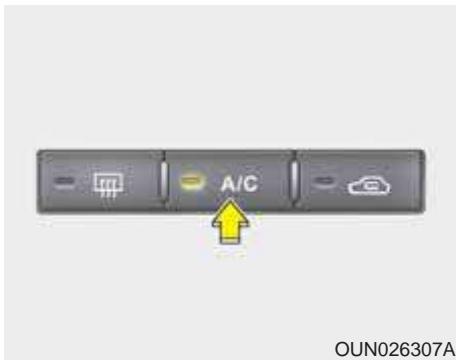 KIA Carens UN (2006-2010) - A VERTISSEMENT - 2