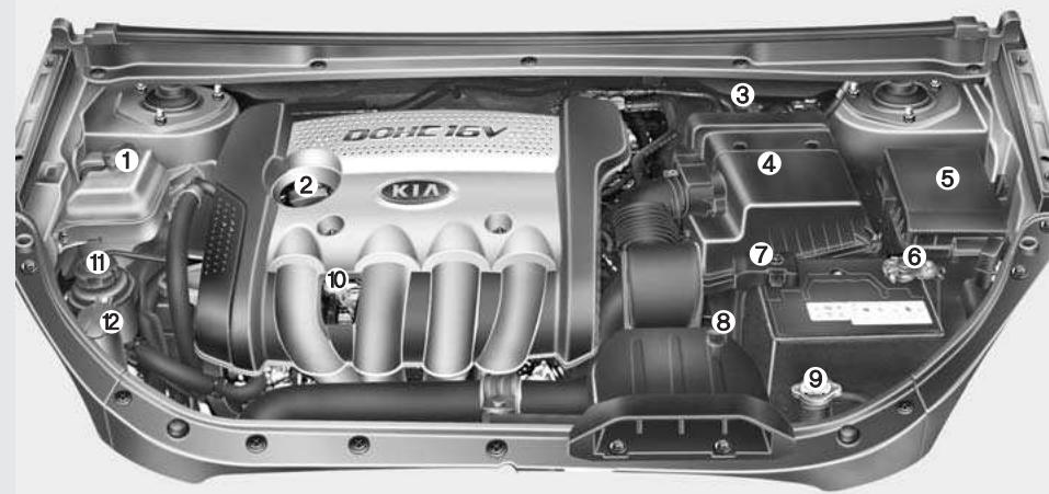 KIA Carens UN (2006-2010) - Moteur essence - 1