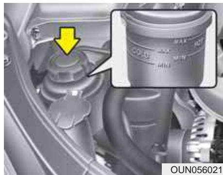 KIA Carens UN (2006-2010) - LIQUIDE DE DIRECTION ASSISTÉE - 1