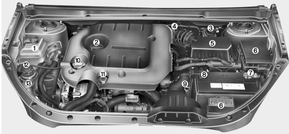 KIA Carens UN (2006-2010) - Moteur diesel - 1