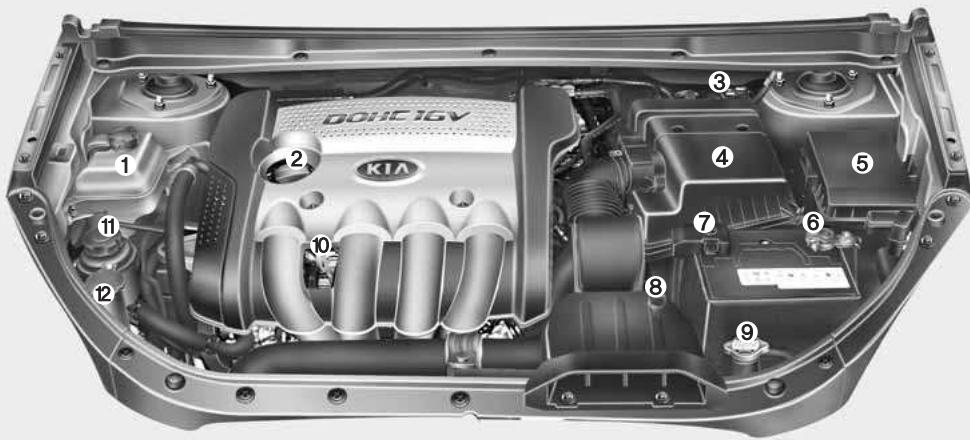 KIA Carens UN (2006-2010) - Moteur essence - 1