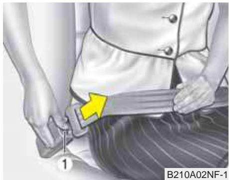 KIA Carens UN (2006-2010) - A VERTISSEMENT - 6