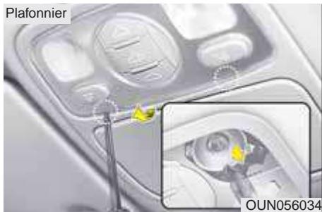 KIA Carens UN (2006-2010) - Remplacement de l'ampoule de I'éclairage de la plaque d'immatriculation - 1