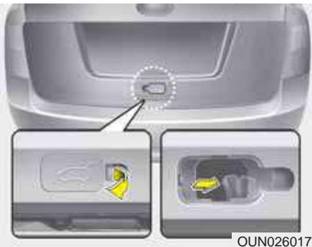 KIA Carens UN (2006-2010) - - Coffre à bagages - 1