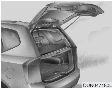 KIA Carens UN (2006-2010) - A VERTISSEMENT - 1
