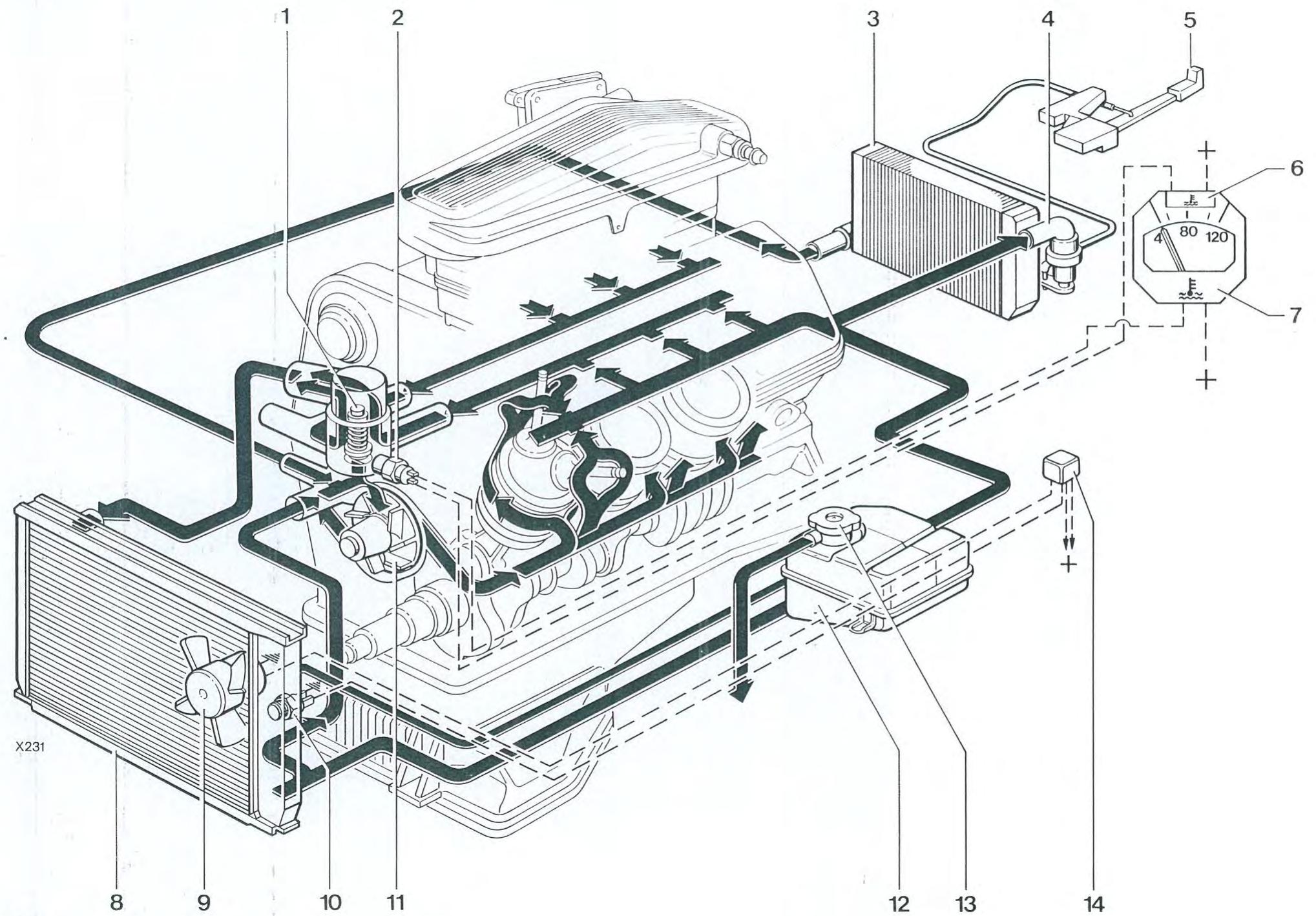 ALFA ROMEO Alfetta GT GTV(1980-1987) - CIRCUIT DE REFROIDISSEMENT - 1