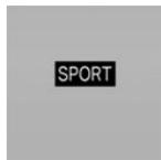 BMW X1 Phase 1 (2015-2019) - Programme sélectionné - 1