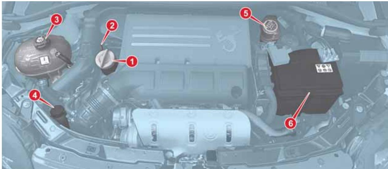 Abarth 500 3 Phase 2 (2015-2023) - CONTRÔLE DES NIVEAUX - 3