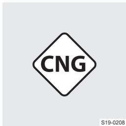 CNG S19-0208