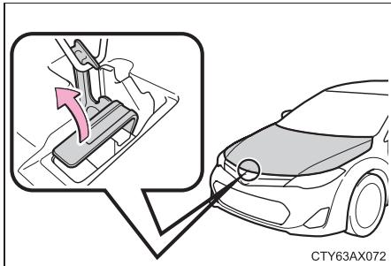 TOYOTA Avalon (2013) - Capot - 2