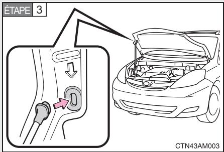 TOYOTA Sienna (22010) - Capot - 3