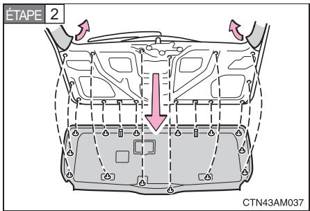 TOYOTA Sienna (22010) - Éclairage de plaque d'immatriculation - 2