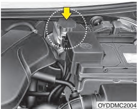 KIA Forte (2012-2016) - LIQUIDE DE FREIN ET D'EMBRAYAGE (SI ÉQUIPÉ) - 1