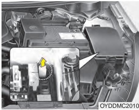 KIA Forte (2012-2016) - Remplacer un fusible sur le panneau interieur - 2