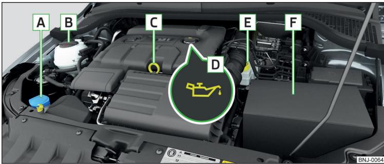 SKODA Fabia 3 Phase 1 (2015-2017) - Aperçu du compartmente moteur - 1