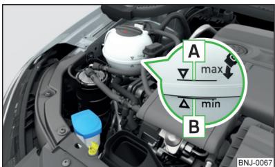 SKODA Fabia 3 Phase 1 (2015-2017) - Contrôle et replissage - 1