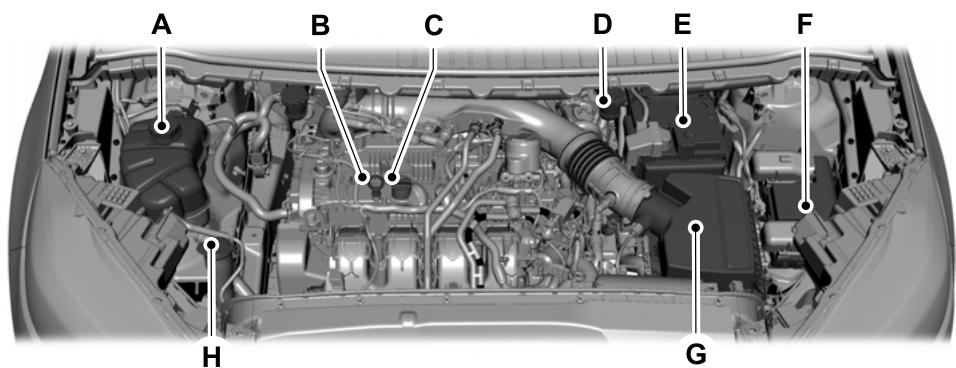 FORD Edge (2021) - Fermetre du capot - 1