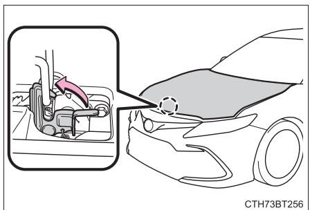 TOYOTA Camry (2023) - Capot - 2