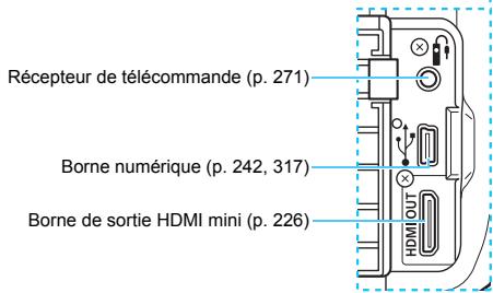 CANON EOS2000D - Nomenclature - 3