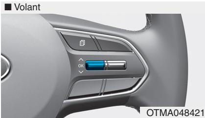HYUNDAI Santa Fe (2018-2020) - Mise en GARDE - 1