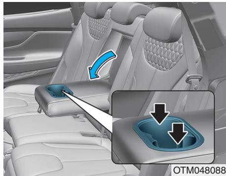 HYUNDAI Santa Fe (2018-2020) - Arrière - 1