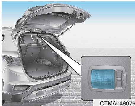 HYUNDAI Santa Fe (2018-2020) - Éclairage du compartiment à bagages - 1