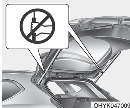 HYUNDAI Santa Fe (2018-2020) - Avertissement - 1