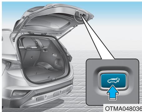HYUNDAI Santa Fe (2018-2020) - Fermeture du hayon - 2