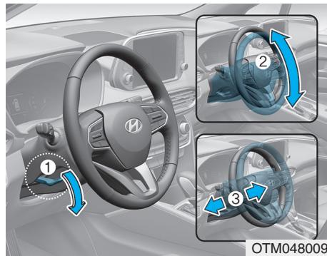 HYUNDAI Santa Fe (2018-2020) - Avertissement - 1