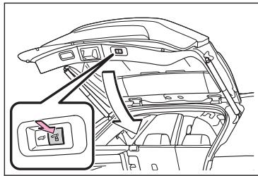 LEXUS NX AZ20 (2022) - Fermeture du hayon et verrouillage de toutes les portes - 1