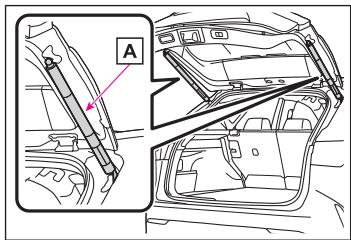 LEXUS NX AZ20 (2022) - Précautions relatives aux tiges du hayon (véhicules avec hayon à commande électrique) - 2