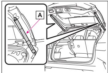 LEXUS NX AZ20 (2022) - Précautions relatives aux tiges du hayon (véhicules avec hayon à commande électrique) - 1