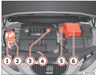 SEAT Altea Phase 2 (2009-2015) - Vérification des niveaux - 1