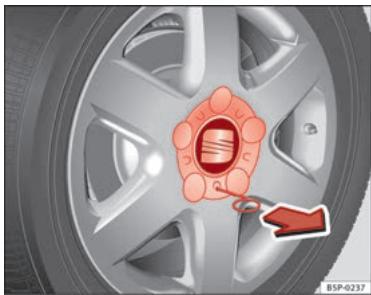 SEAT Altea Phase 2 (2009-2015) - Enjolveurs de roue - 1