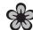 SEAT Altea Phase 2 (2009-2015) - ATTENTION - 1