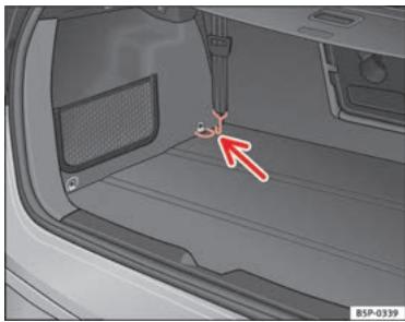 SEAT Altea Phase 2 (2009-2015) - Filet de séparation* - 2