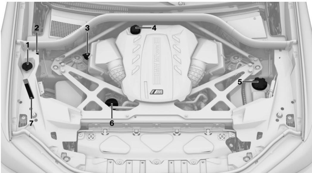BMW X5M F95 Phase 1 (2020-2023) - Aperçu - 1