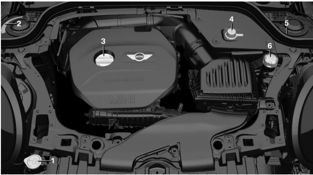 MINI Clubman (2015-2019) - DÉTAILS IMPORTANTS DANS COMPARTIMENT MOTEUR - 1