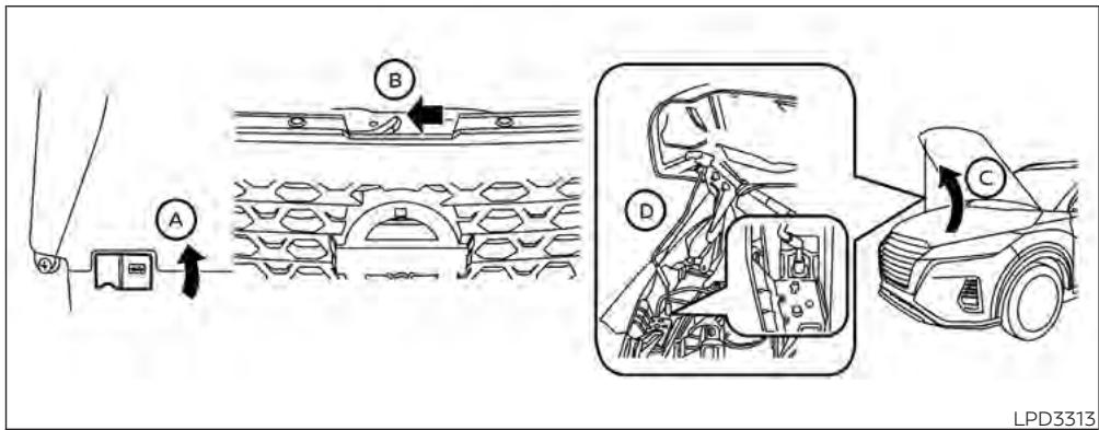 NISSAN Kicks (2024) - CAPOT - 1