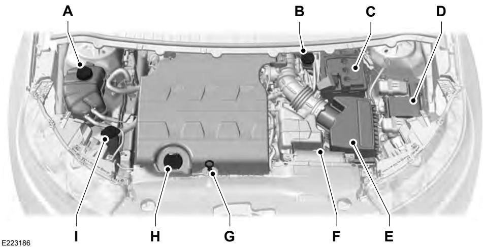 FORD Edge Phase 1 (2015-2018) - APERÇU SOUS LE CAPOT - 3,5 L - 1